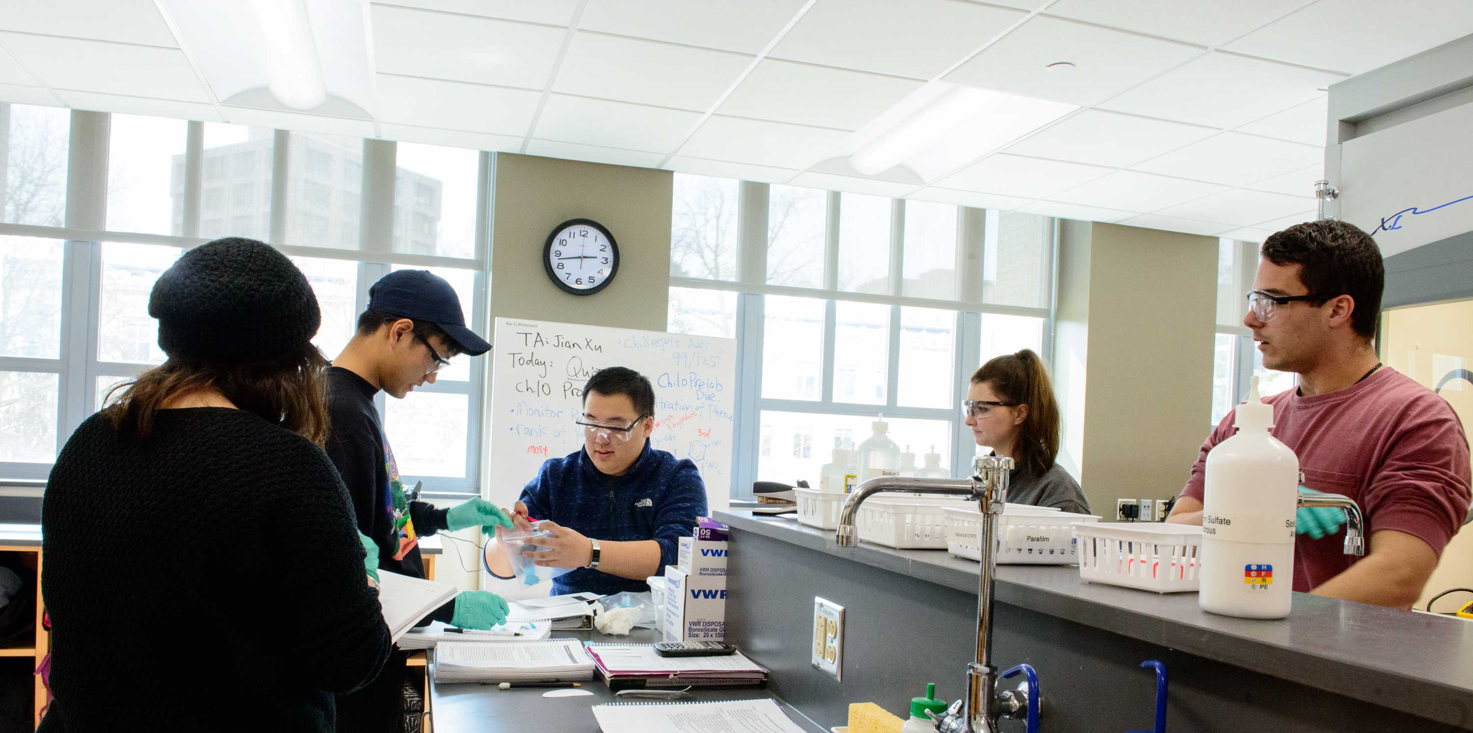 Students working in a lab