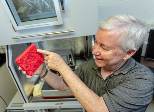 Daniel Cosgrove with a 3D-printed model of a plant cell wall. Credit: Nate Follmer, Penn State.