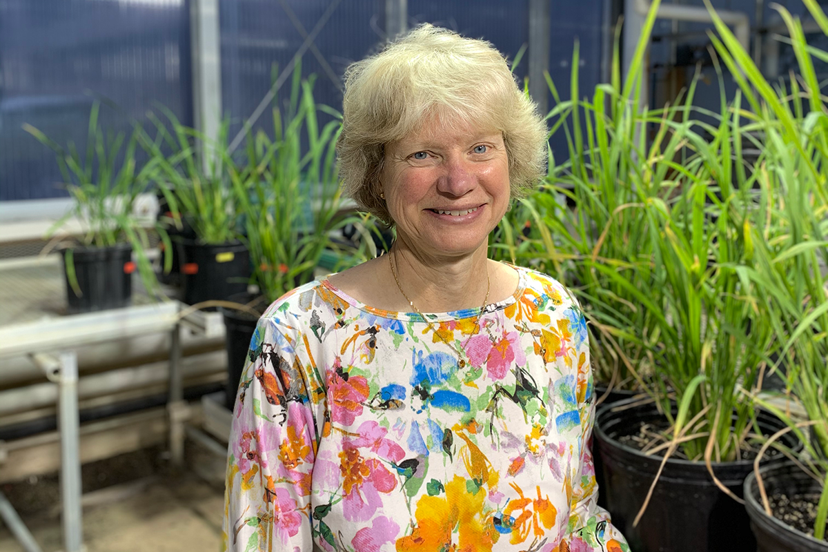 Sally Assmann, Waller Professor of Biology