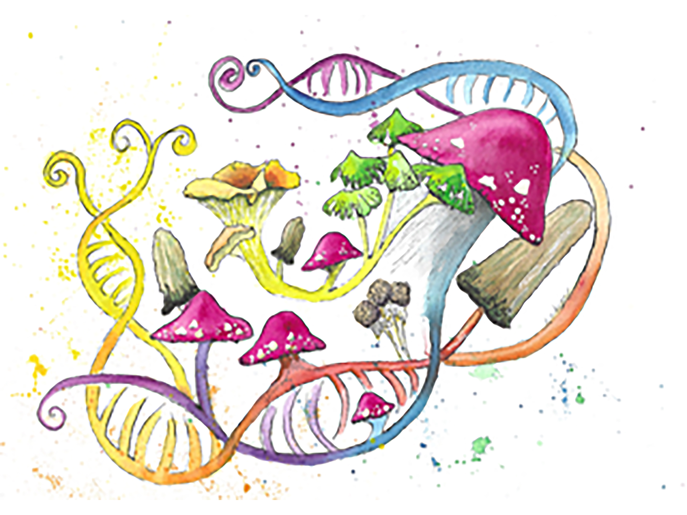 Painting showing mushrooms and other fungi growing out of stylized DNA double helix