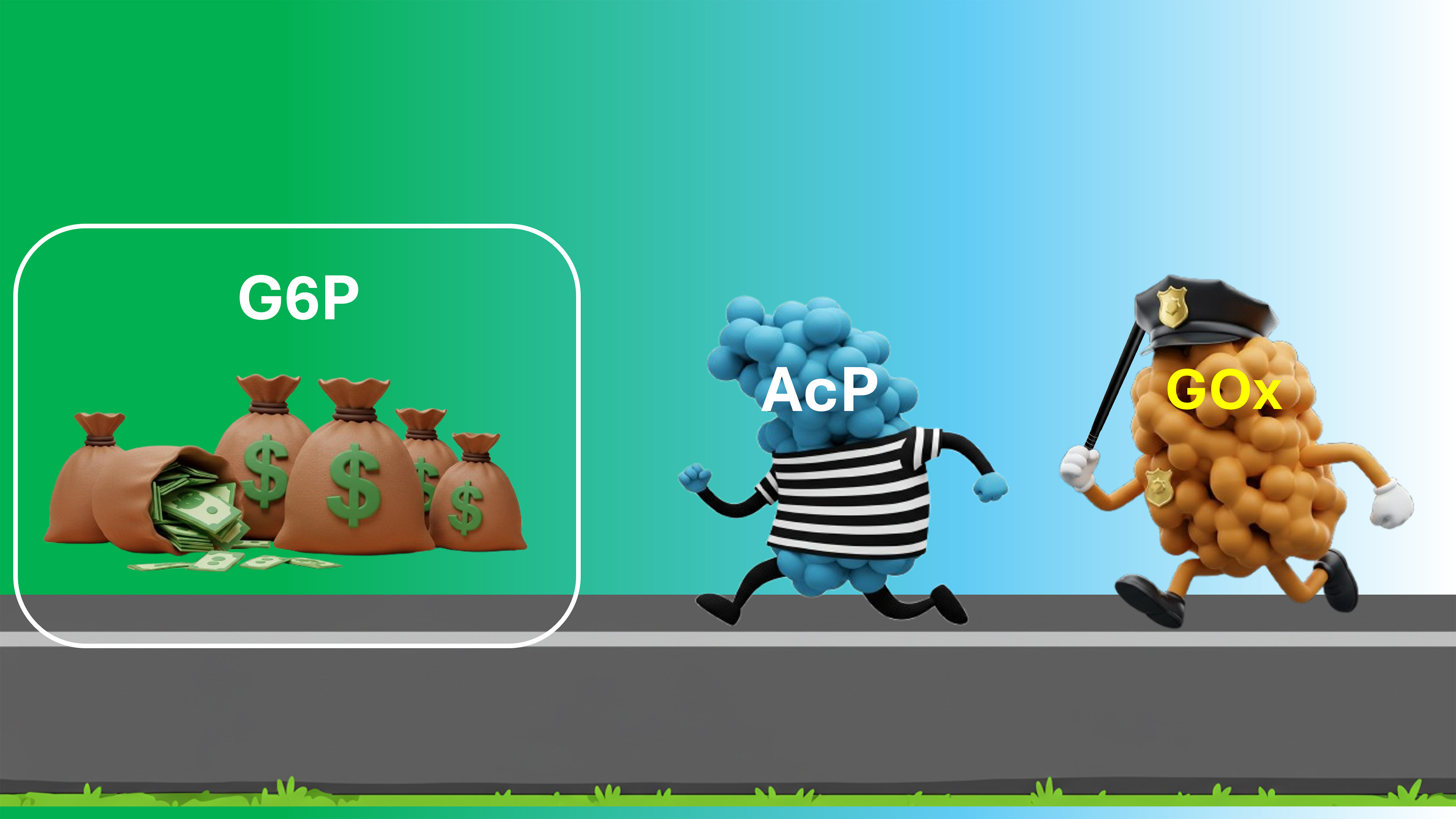 Cartoon of the enzyme acid phosphatase, dressed as robber, running toward glucose-6-phosphate, represented as money, and being following by enzyme glucose oxidase dressed as police.