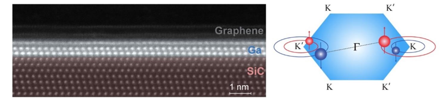 SEM image of material with interesting electrical properties