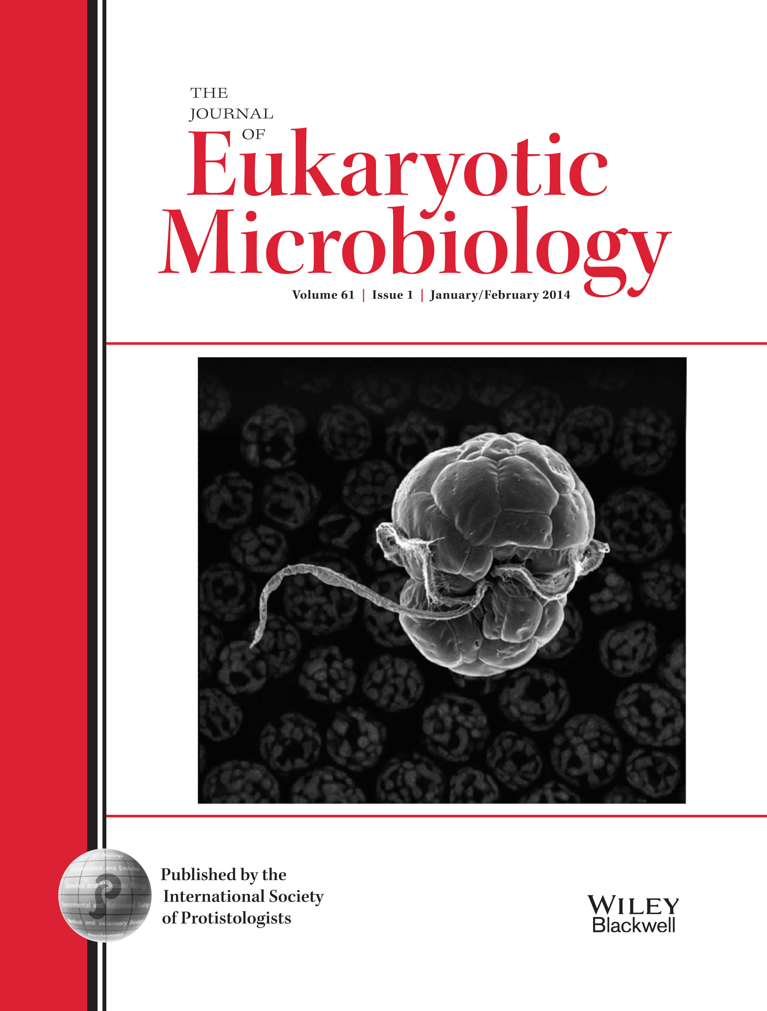 Cover of the January/February 2014 issue of the Journal of Eukaryotic Microbiology, featuring a scanning electron micrograph of the dinoflagellate species Symbiodinium voratum. The corresponding research article by Todd LaJeunesse and colleagues was awarded the 2014 William Trager Award.