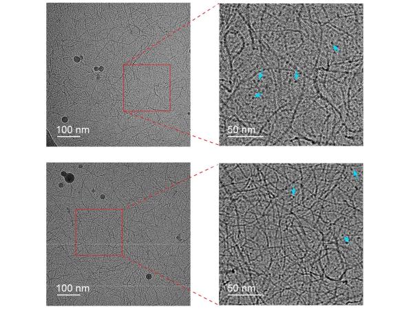 cryo-EM microscope images of PEDOT:PSS material fibers