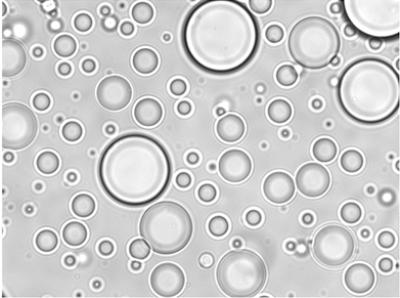 Membraneless compartments