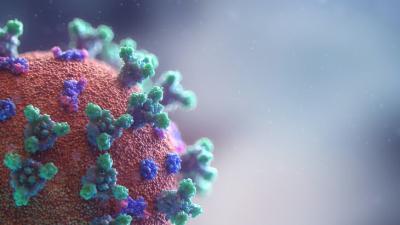 illustration of SARS-CoV-2 COVID-10 virus. Credit Fusion Medical Animation, Unsplash
