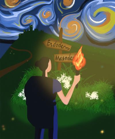 Illustration of man with torch looking at signs for different paths