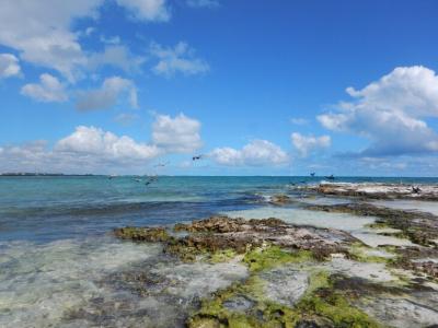 Coral reef from above at Puerto Morelos, Mexico 