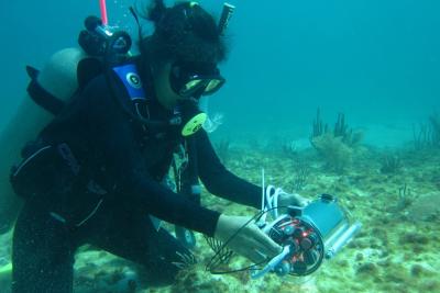 Diving in Puerto Morelos, Mexico, Claudia Tatiana Galindo-Martínez measures a light profile using a cosine-corrected light sensor attached to a DIVING-PAM underwater fluorometer. Photo provided courtesy of Claudia Tatiana Galindo-Martínez