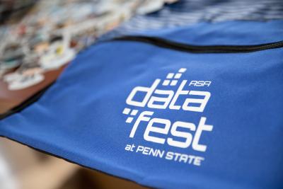 datafest swag