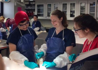 Squires and two students, all wearing aprons and gloves, look at donor
