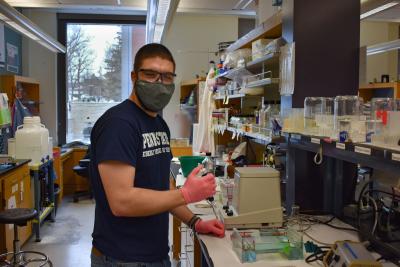 Herne in mask and gloves pipettes liquid at lab bench