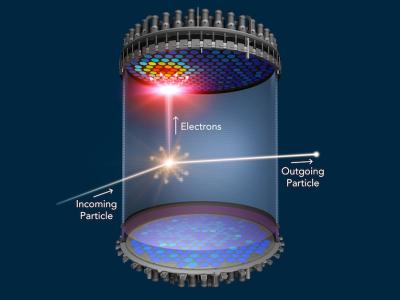 illustration of LZ detector innards