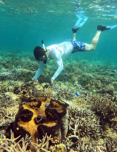 Todd LaJeunesse collecting coral fragments