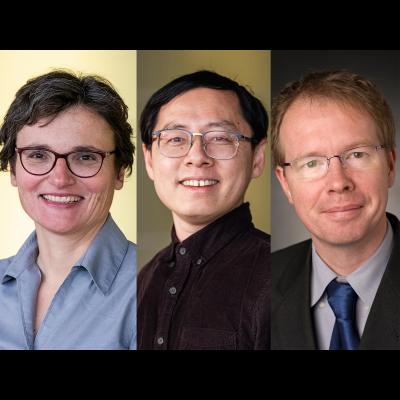 Anna Stasto, Chaoxing Liu, Adri van Duin