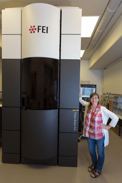 SUSAN HAFENSTEIN WITH THE TITAN/KRIOS microscope at Penn State, which allows researchers to quickly create atomic-resolution 3D models of biological, chemical, and synthetic structures through a process called cryo–electron microscopy, or cryoEM. Hafenstein is the director of the cryoEM facilites at the Penn State University Park campus. Credit: Nate Follmer, Penn State