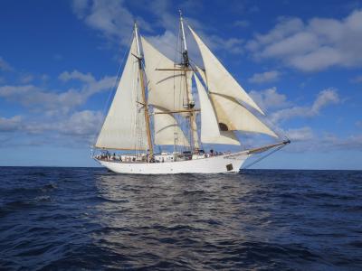 Ship on ocean full of study abroad studens
