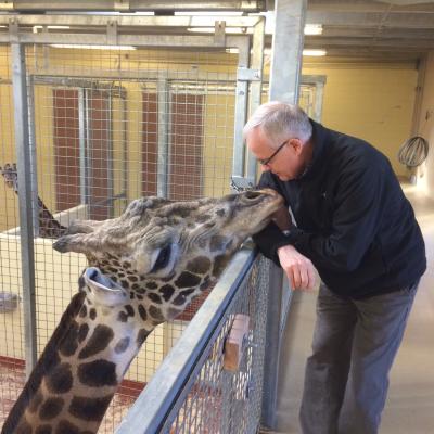 Doug Cavener next to giraffe's head