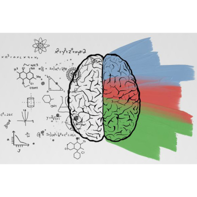 Image of a brain with math on the left side and different colors painted on the right