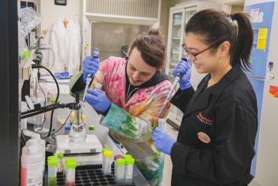 Chad Smies and Jiyeon Baek pipette solutions in the lab
