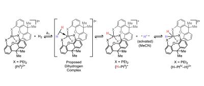 Chemical reaction with chemical structures of steps in new mechanism of oxidative addition.