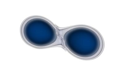 simulation of two neutron stars merging