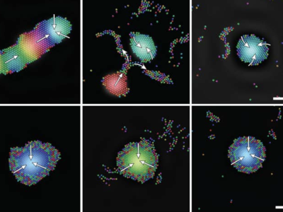 six panels of robots in different configurations. credit: Igor Aaronson