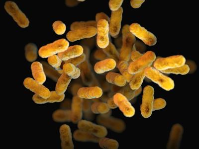 close up of bunch of yellow cylindrical bacteria