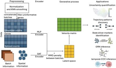 workflow diagram of spVelo method