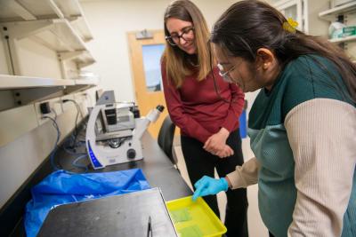 Marina Feric and student work at lab bench