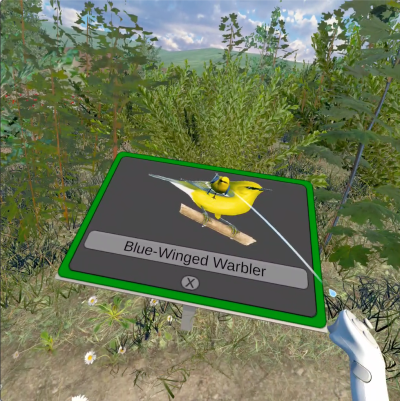 Screenshot from the VRmivora project that shows a blue-winger warbler.