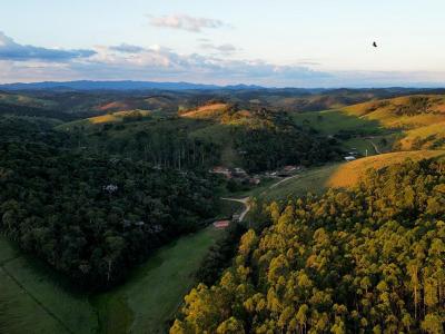 forest with large areas of broken habitat