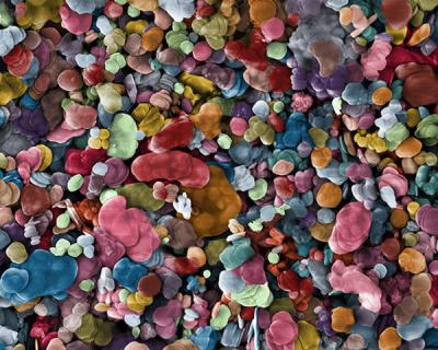 An array of colored rocks.