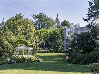 Hintz Lawn with old main bell tower in background