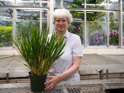 Sally Assmann in the greenhouse holding a potted plant