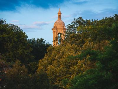 Old Main tower through the trees