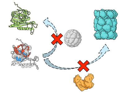 illustration of protein misfolding