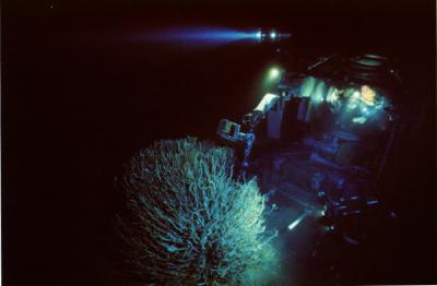 The Johnson Sea Link research submarine with the staining device designed by researchers at Penn State and the Harbor Branch Oceanographic Institute  Credit: Jonathan Blair, National Geographic