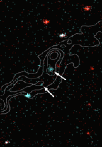 X-ray Snapshots Capture the First Cries of Baby Stars