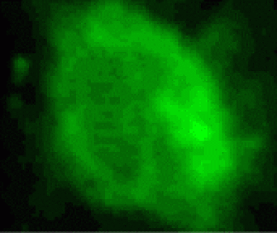 Scientists Discover Supernova May Control Activity in the Center of Our Galaxy