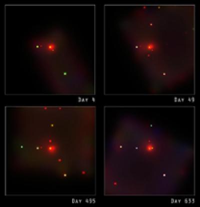 Image credit: NASA/CXC/Penn State/S. Immler et al.