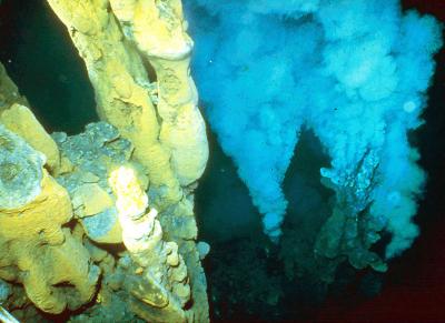 Hydrothermal venting though sulfide chimneys in the Lau Basin.  Credit: Daniel Desbruyeres, IFREMER (French Research Institute for Exploitation of the Sea)