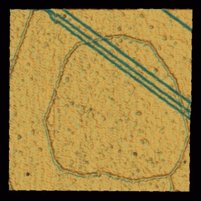 Protopolyphenylene is composed of molecules lined up for reaction and held in place by the copper substrate surface and intermolecular interactions. The image of a 270-angstrom (27-nanometer) square area of the surface was recorded with a scanning tunneling microscope at 77 K in ultrahigh vacuum. The ridged ring structure is the protopolymer; the angled lines are one-atom-high steps of the copper substrate.