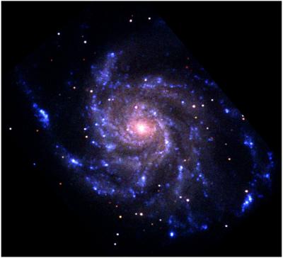 This UVOT image of the pinwheel galaxy M101 is a 'false-color' image generated with the near-UV, the blue, and yellow filters, represented by blue, green, and red, respectively. This image shows more light from the central regions of the galaxy, where older, cooler stars dominate the emission.