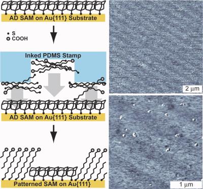 A demonstration of microdisplacement printing, in which a weakly bound film is displaced by contact stamping with molecules that bind more strongly to the substrate. This process leaves a patterned film with regions of strongly bound molecules (where the weakly bound molecules were displaced) and regions of the remaining weakly bound molecules.