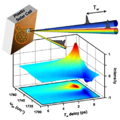 A plot of the wavelength of emitted infrared light vs. the time delay of the light emission provides information about the path of an electron within a plastic solar cell. This information about how the cell makes an electric current from light will lead to improvements in the efficiency and usable lifetime of solar cells.