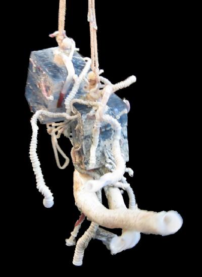Credit: Andrea D. Nussbaumer, Charles R. Fisher and Monika Bright  Tubeworm artificial settlement cubes after one year deployment at the East Pacific Rise in 2500 m depth.