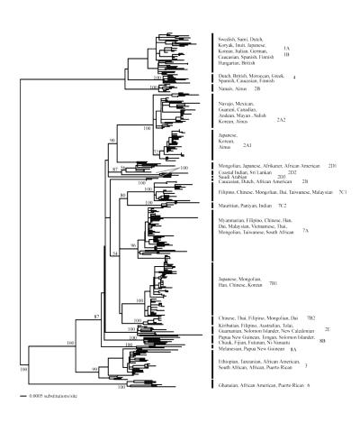 Viral Marker of Human Migration Suspect