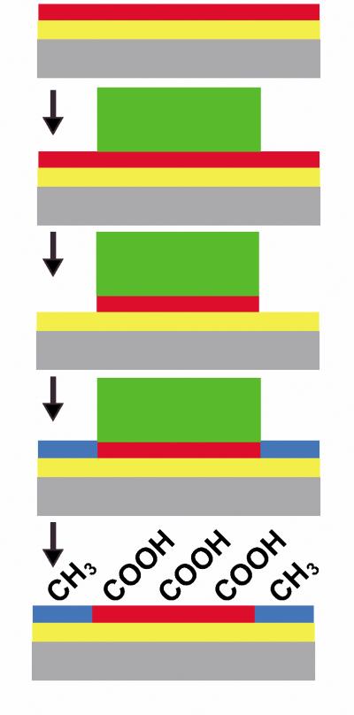 A new technique of chemical patterning developed at Penn State combines conventional lithography with molecular self-assembly for the creation of multifunctional surfaces. 