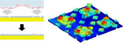 credit: Paul Weiss lab, Penn State Microcontact Insertion Printing Left: Single molecules are inserted into a preexisting layer in microscopic regions that are defined by a patterned elastomeric stamp.  Right: Complex and overlapping chemical patterns can be fabricated employing multiple stamping steps. (scanning electron micrograph, field of view 90 µm x 90 µm)